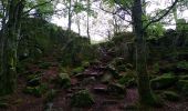 Trail Walking Rimbach-près-Masevaux - Haute Bers - Photo 13