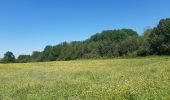 Tour Wandern Riemst - tour de la montagne st pierre - Photo 9