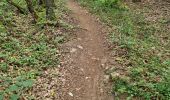 Trail Walking Cheptainville - Forêt Régionale de Cheptainville  - Photo 7