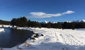 Tocht Sneeuwschoenen La Llagonne - Le long du têt  - Photo 2