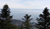 Trail Walking Saint-Alban-d'Ay - la roche des vents  - Photo 5