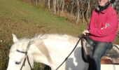 Trail Horseback riding Saint-Martin - montée des vaches domevre verdenal la vache morte kaline vispa  - Photo 5