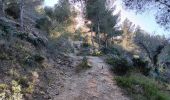 Trail Walking Leucate - leucate . franki plage . leucate - variante - Photo 7