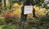 Trail Walking La Forge - La roche des corbeaux, La Forge  - Photo 5