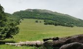 Trail Walking Omblèze - Le Plateau d'Ambel du Col de la Bataille - Photo 7