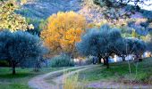 Tour Wandern La Garde-Freinet - SityTrail - Fort Freinet-la Garde-Freinet-02-06-23 - Photo 5