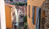 Tour Wandern Port-Vendres - les batteries . collioure . fort sant elme . port vendres . cap gros - Photo 5