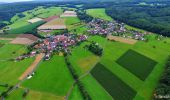 Randonnée A pied Steinau an der Straße - Steinauer Hochgefühl ( Spessartfährten ) - Photo 6