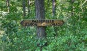 Trail Walking Treffort - Passerelles Monteynard  - Photo 4