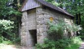 Percorso A piedi Zell im Fichtelgebirge - Sparneck-Großer Waldstein - Photo 6