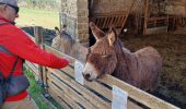 Trail Walking Glun - st romain  de lerps - Photo 1