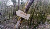 Trail Walking Premeaux-Prissey - Premeaux  circuit rouge forêt  - Photo 1