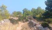 Trail Walking Leucate - franki plage - phare leucate - hommage aux pompiers de l'aude - Photo 15