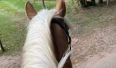 Trail Horseback riding Ingwiller - Laure67  - Photo 1