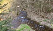 Randonnée A pied Inconnu - Gipfelwanderweg Suhl (Thüringer Wald) - Photo 7