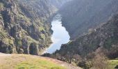 Tour Zu Fuß Miranda do Douro - São João das Arribas - Photo 10