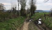 Trail Walking Aubel - 20210416 - Aubel 11 Km - Photo 20