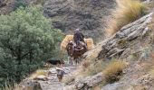 Tour Zu Fuß Capileira - Acequias del Poqueira - Photo 6