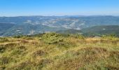 Trail Walking Metzeral - Petit-Ballon via Col du Hilsenfirst - Photo 14