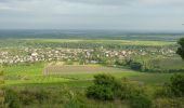 Percorso A piedi Abasár - Sc ( Abasári körút ) - Photo 6