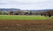 Tour Wandern Ellezelles - Ellezelles - Photo 2