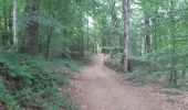 Tocht Stappen Echternach - mullerthal rando E1 . echternach . berdorf . echtrnach . via gorge du loup - Photo 9