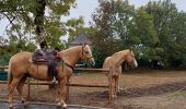 Trail Horseback riding Loubressac - Rando cavaliers Laroque Loubressac 9 Oct 22 - Photo 1