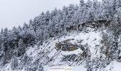 Trail On foot Brasov - Șaua Tâmpei - Valea Cetății - Poiana Brașov - Photo 10