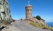 Tocht Stappen Port-Vendres - tour madeloc  - Photo 1