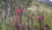 Tour Wandern Quiroga - Laguna de Cuicocha - Photo 13