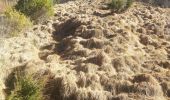 Tocht Stappen Étalle - Buzenol Montauban(bas) Buzenol  - Photo 5