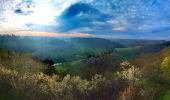 Tocht Mountainbike Rodez - Rodez Agglomeration - Circuit 6 - Le bois de l?ours  - Photo 1