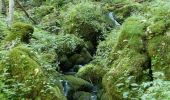 Tour Wandern Saint-Gervais - Les Écouges - Pas de Pierre Taillée - Photo 14