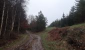 Trail Walking Sprimont - plain de fagne . adzeux . rouge thier . grand pierreux . plain de fagne - Photo 6