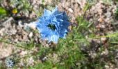 Tour Wandern Ans - derrière carrefour ans ... - Photo 11