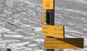 Excursión Raquetas de nieve Hauteluce - Les Saisies- Croix de Coste - Bizanne - 11.6km - 5h - Photo 10