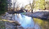 Tour Wandern Bütgenbach - Promenade le long de la Warche   - Photo 4