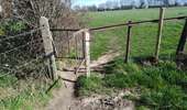 Trail Walking Dalhem - dalhem - Balade 5 - feneur  - Photo 11