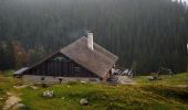 Trail On foot Abtenau - Postalm Rundweg 2 - Photo 2