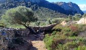 Excursión Senderismo Lumio - SityTrail - 2666112 - lavatoggio-lumio - Photo 20