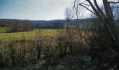 Trail Walking Virton - Aux sources du Bruzel  -  Marche_11kms - Photo 10