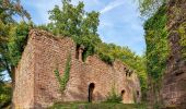 Randonnée A pied Eberbach - Rundwanderweg 3: Burg-Eberbach-Weg - Photo 2