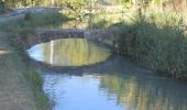 Tour Wandern Carpentras - PF-Canal de Carpentras - Photo 11