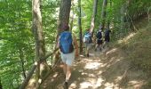 Trail Walking Besse-et-Saint-Anastaise - Le tour du Lac Pavin et montée au Puy Montchal - Photo 7