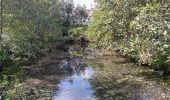 Tocht Stappen Valkenburg aan de Geul - échauffement pré-thermes - Photo 12