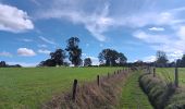 Trail Walking Sprimont - autour de dolembreux  - Photo 12