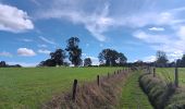 Tocht Stappen Sprimont - autour de dolembreux  - Photo 12