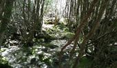 Randonnée Marche Moustiers-Sainte-Marie - Le col plein voir et la crête  - Photo 7