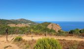 Excursión Senderismo Piana - tour des châtaigniers de palani - Photo 12