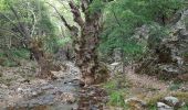Tocht Stappen Unknown - Gorges de Moundros et de Kato Paros (rother n°36) - Photo 15